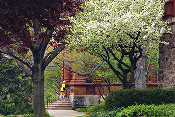 Spring time on campus. Links to Gifts of Life Insurance Spring time on campus. Links to Gifts of Life Insurance
