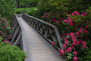 Flowers next to a bridge. Links to Gifts of Cash, Checks, and Credit Cards Flowers next to a bridge. Links to Gifts of Cash, Checks, and Credit Cards